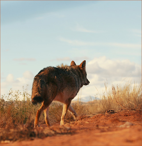 autumnwander2012W